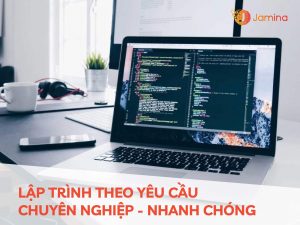 lap-trinh-theo-yeu-cau