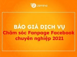 bao-gia-dich-vu-cham-soc-fanpage-100
