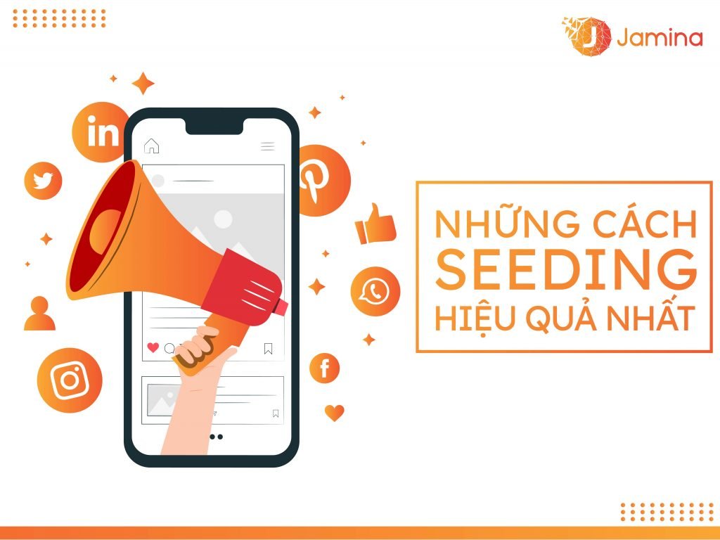 Những cách seeding hiệu quả nhất