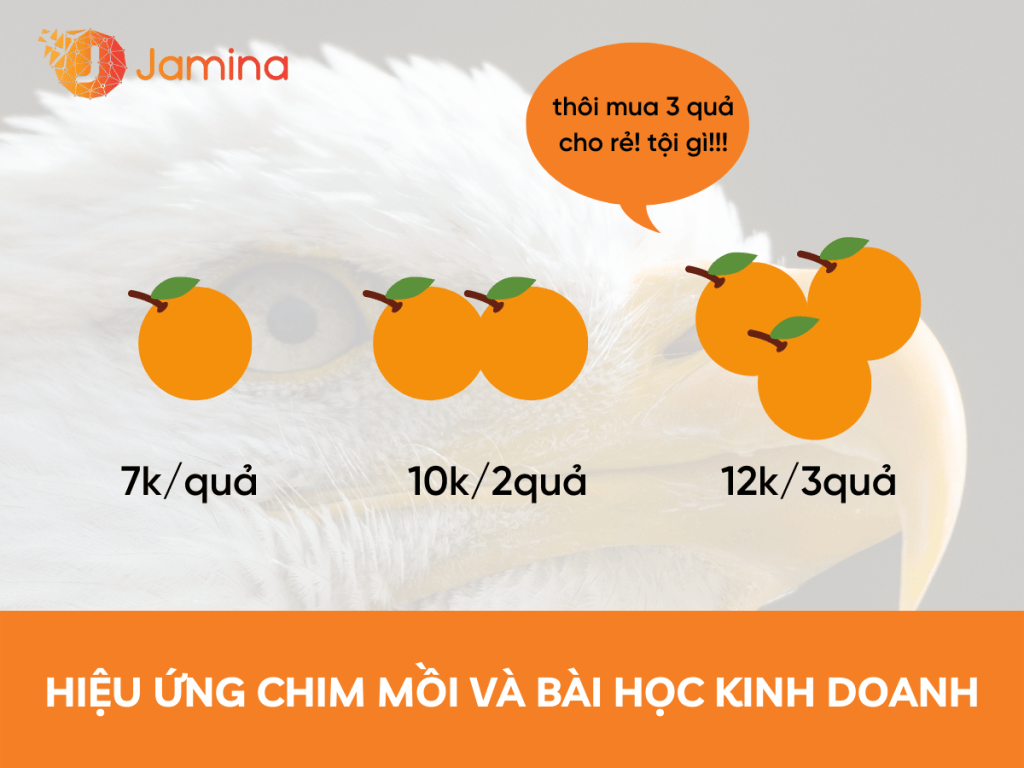 So sánh việc sử dụng hiệu ứng chim mồi