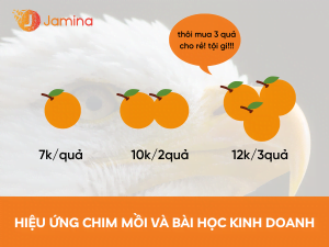 So sánh việc sử dụng hiệu ứng chim mồi