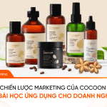 Chiến lược marketing của Cocoon và bài học ứng dụng cho doanh nghiệp Chiến lược marketing của Cocoon và bài học ứng dụng cho doanh nghiệp