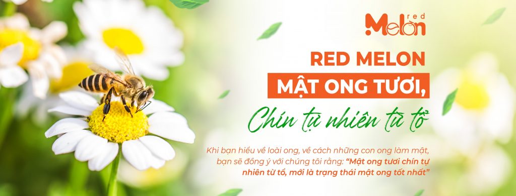 Phát triển Fanpage cho Brand Red Melon - Mật ong tươi, chín tự nhiên từ tổ